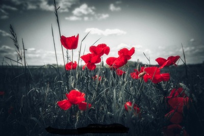 Image du forum Vous avez des questions, vous voulez échanger, c'est ici !!!!